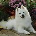 Amanda Josephson - Facebook