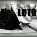 amanda joyce muniz dos santos - @amandajoycemuniz - Instagram