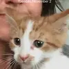 Amanda - @amanda.kalas - TikTok