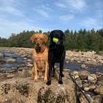 Amanda Kavanagh - @amandahumphrey646 - Instagram