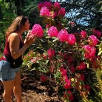 Amanda Keele - @amanda.keele - Instagram