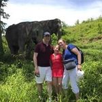 Amanda Cook nee Keeling - @dramandacook - Instagram