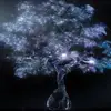 Amanda Keener - @amanda.keener4 - TikTok