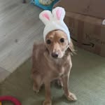 Amanda Kenyon - @amandacarter68 - Instagram