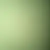Amanda Kiley - @poiuytrepp127 - TikTok