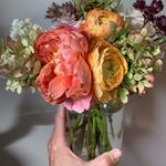Amanda Kimball - @abkimballgather - Instagram