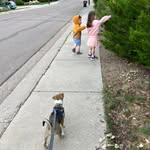Amanda Spears Kimball - @amandaspearskimball - Instagram