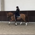 Amanda Koch Kulle - @amandakoch.and.voldbeat - Instagram
