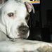 Amanda Koelling - Facebook