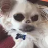 amandakohn - @amandakohn - TikTok