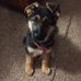 Amanda Koll Caldwell - Facebook