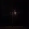 Amanda Labrecque - @amandalabrecque3 - TikTok