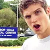amanda - @amanda.lahey - TikTok