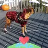 Amanda.lahey5 - @amanda.lahey50 - TikTok