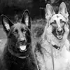 Amanda LaMagna - @usersno7ue9t5w - TikTok
