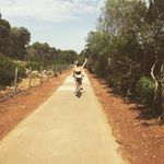 Amanda Lammers - @amanda__lamb - Instagram