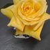 Amanda Lamonica - Facebook