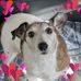 Mandy Lamothe - Facebook