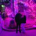 Amanda Ruffin - Facebook