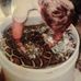 Amanda Langill - Facebook