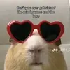 Amanda Dlangisa - @amandadlangisa73 - TikTok