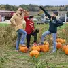 amandalangner0 - @amanda.langner - TikTok