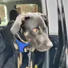 Amanda Langston - @amanda.langston - TikTok