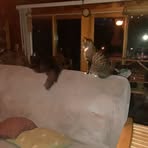 Amanda Lantry - Facebook