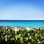AnTripPhoto_Amanda Chu - @antripphoto - Instagram