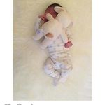 Amanda.Latifi - @amanda.lat.1 - Instagram