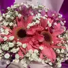 Lily Amanda815 - @amandalavender19 - TikTok