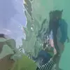 Amanda Lazarus - @amanda.lazarus4 - TikTok