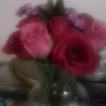 Amanda Ledesma - @amanda.ledesma.5811 - Instagram