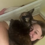 Amanda Leek - @amanda.and.cats - Instagram
