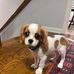 Amanda Lentz - Facebook