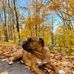 Amanda Lessard - Facebook