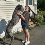 Amanda LeTourneau - @aletourneau5 - Instagram