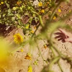 amanda ☼ lipke - @ebb_flow_ebb_flow - Instagram