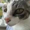 Amanda Lockwood - @amanda.lockwood50 - TikTok
