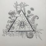 Amanda Lorch - @ayearinthesun - Instagram