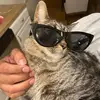 amandalott145 - @amandalott145 - TikTok
