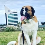 Amanda Haas Lovitt - @george_thesaint - Instagram