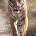 Amanda Lovitt - Facebook