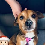AJ Lucy - @amandaluckett220220 - Instagram
