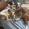 Amanda Lujan - @a77lujan - TikTok