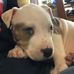 Amanda Elise Lundy - Facebook