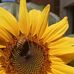 Amanda Maher - Facebook
