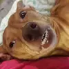 Amanda Manuel - @amandamanuel479 - TikTok