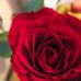 Amanda Marett - Facebook