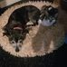 Mandy Margetts - Facebook